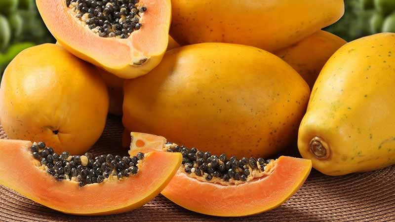 El rol de la fitosanidad y el impulso en la industria de la papaya mexicana
