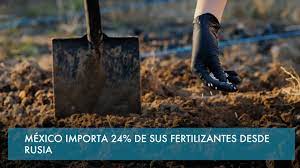 México importa 24% de sus fertilizantes desde Rusia.