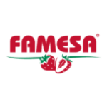 Logo Famesa